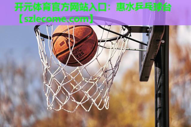 惠水乒乓球台