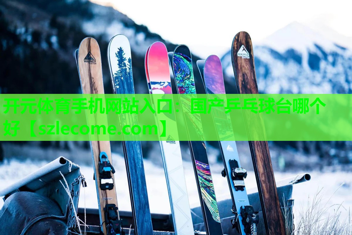 国产乒乓球台哪个好