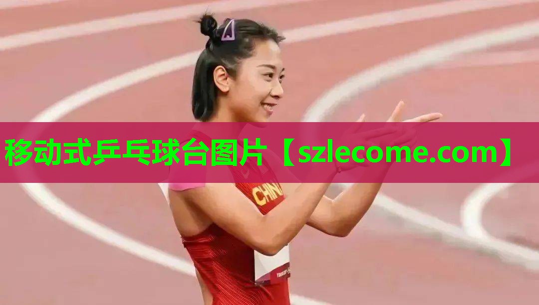 移动式乒乓球台图片
