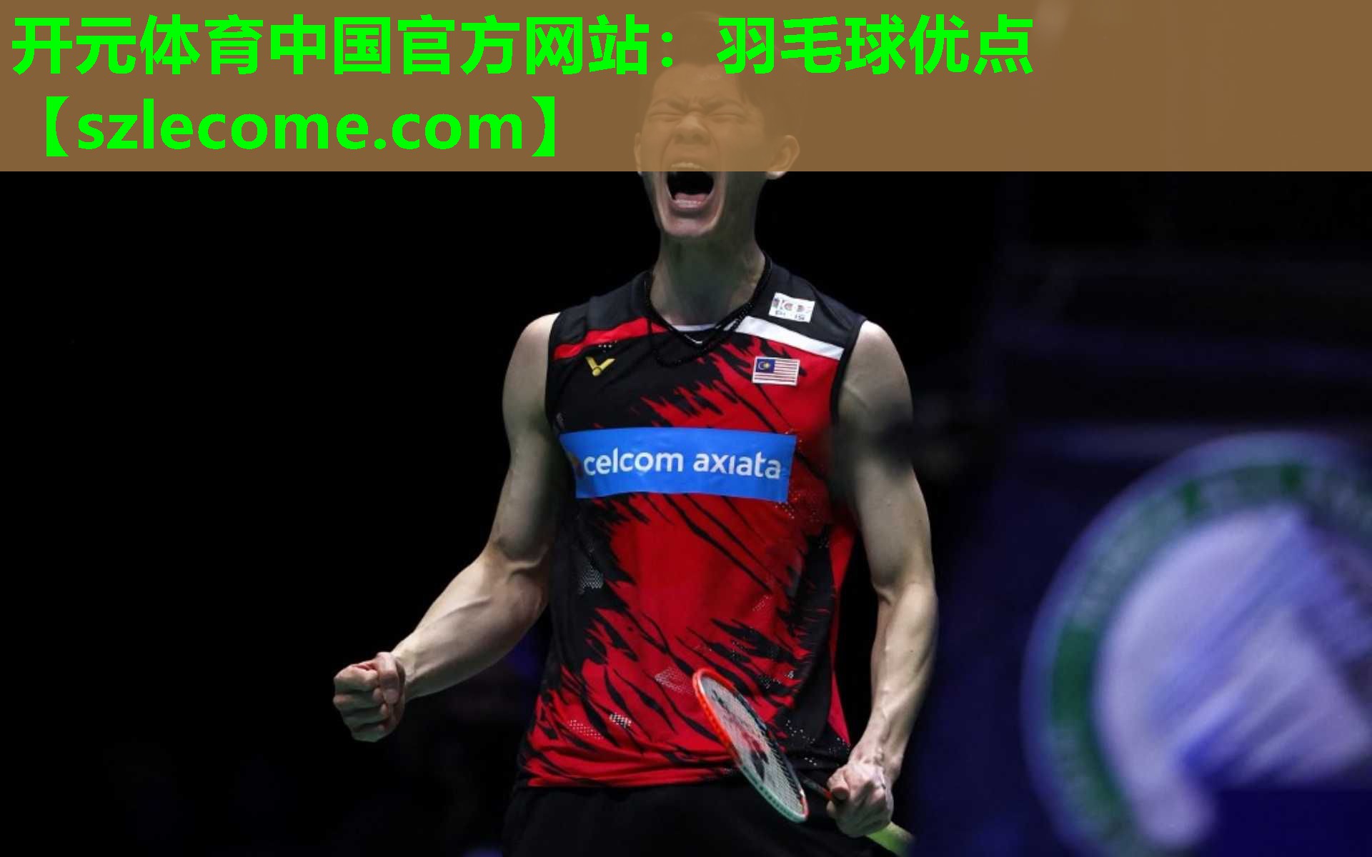 羽毛球优点