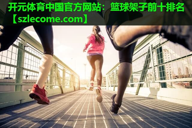 篮球架子前十排名