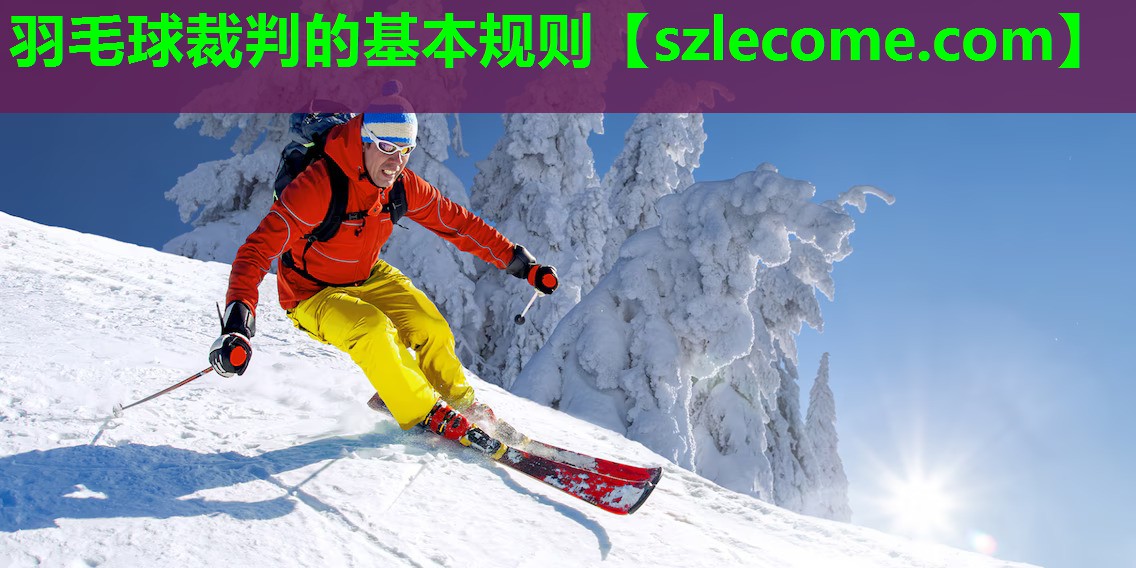 羽毛球裁判的基本规则