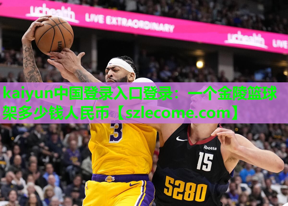 一个金陵篮球架多少钱人民币