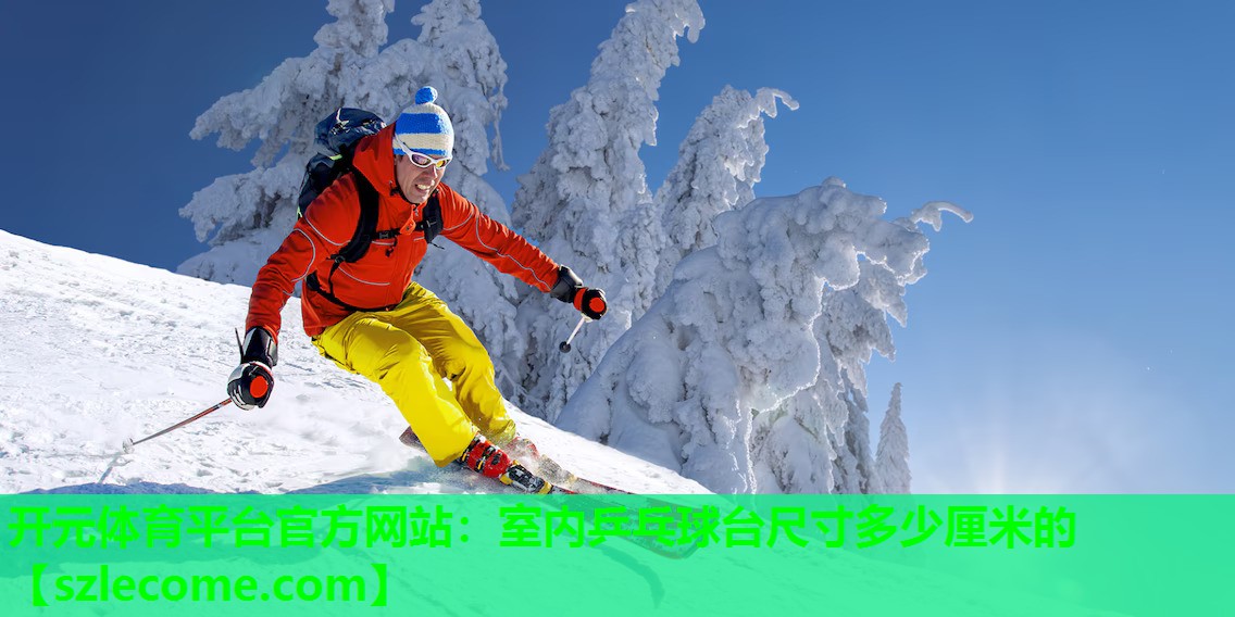室内乒乓球台尺寸多少厘米的