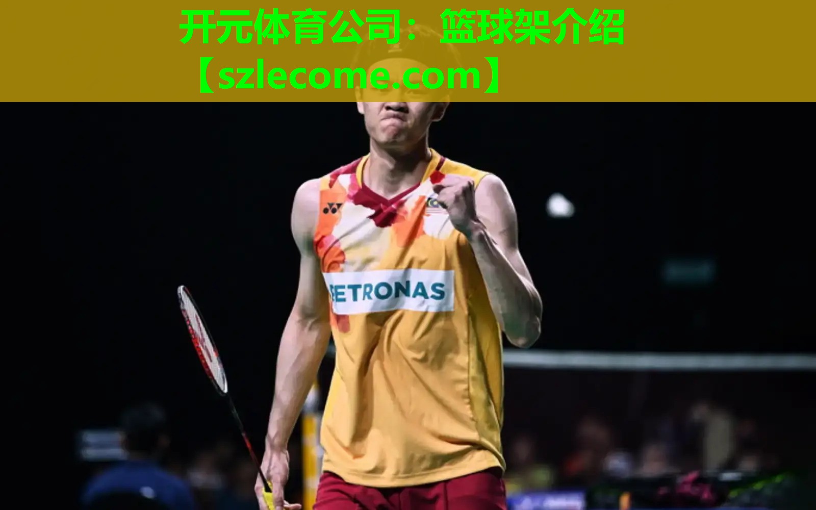 篮球架介绍